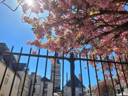 Histoire de La Cour du Chteau